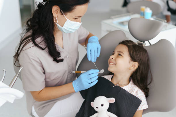 Best Emergency Dentist for Knocked-Out Tooth in Terville, WA
