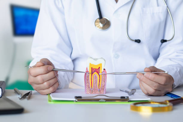 Best Emergency Dental Services for Seniors in Terville, WA